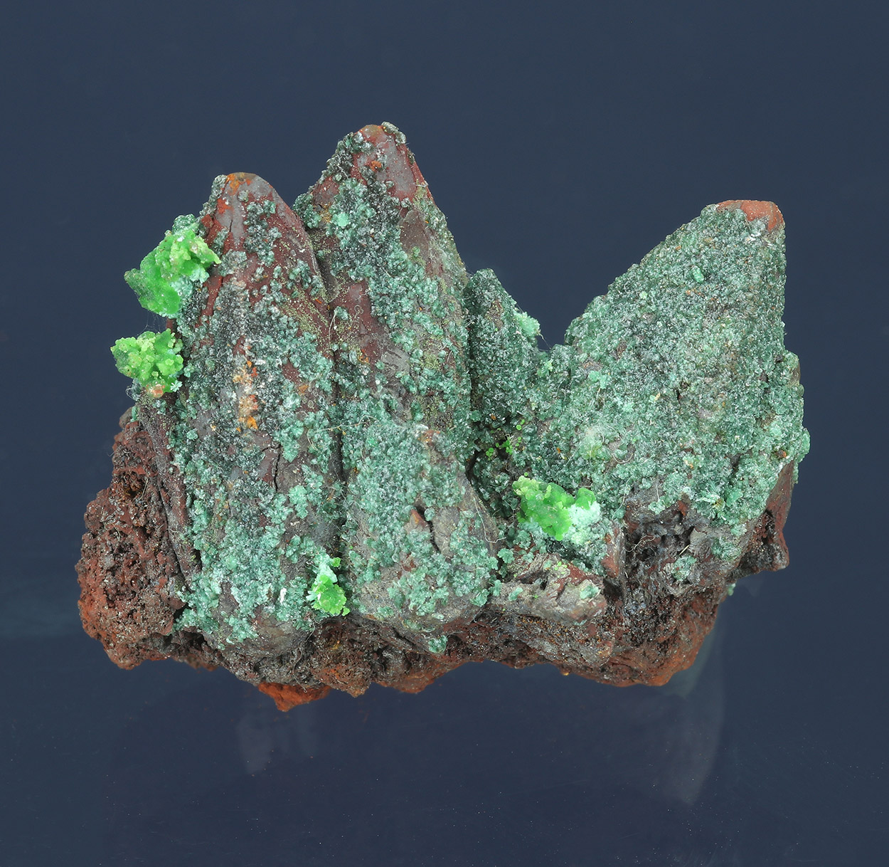 Conichalcite Olivenite & Goethite Psm Calcite