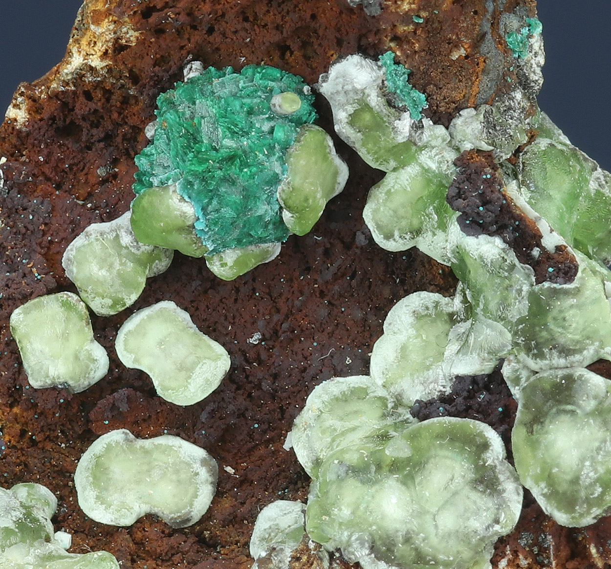 Smithsonite & Malachite Psm Azurite