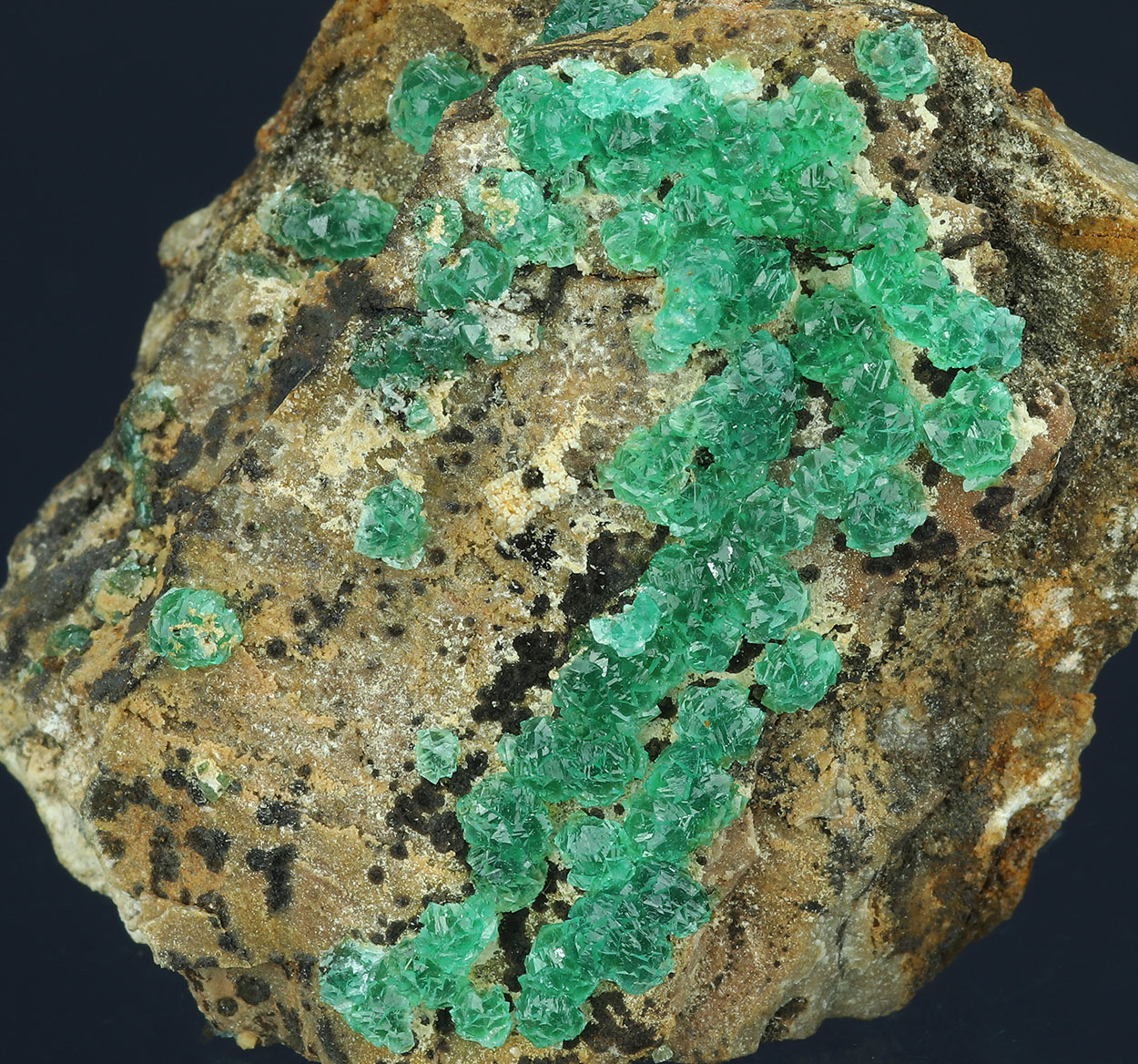 Cuprian Adamite