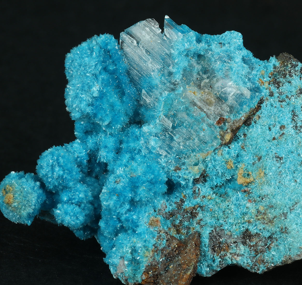 Serpierite & Gypsum