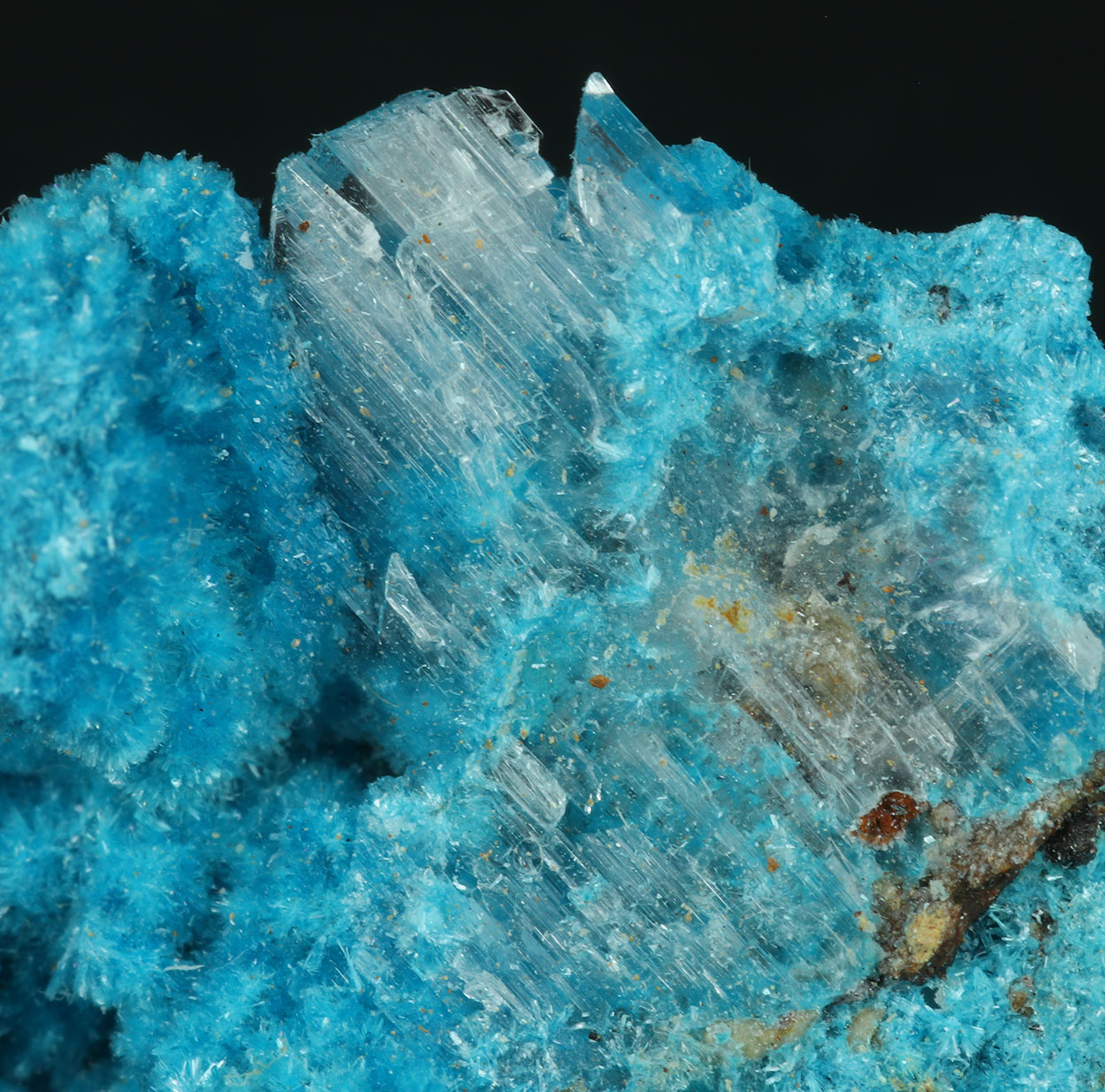 Serpierite & Gypsum