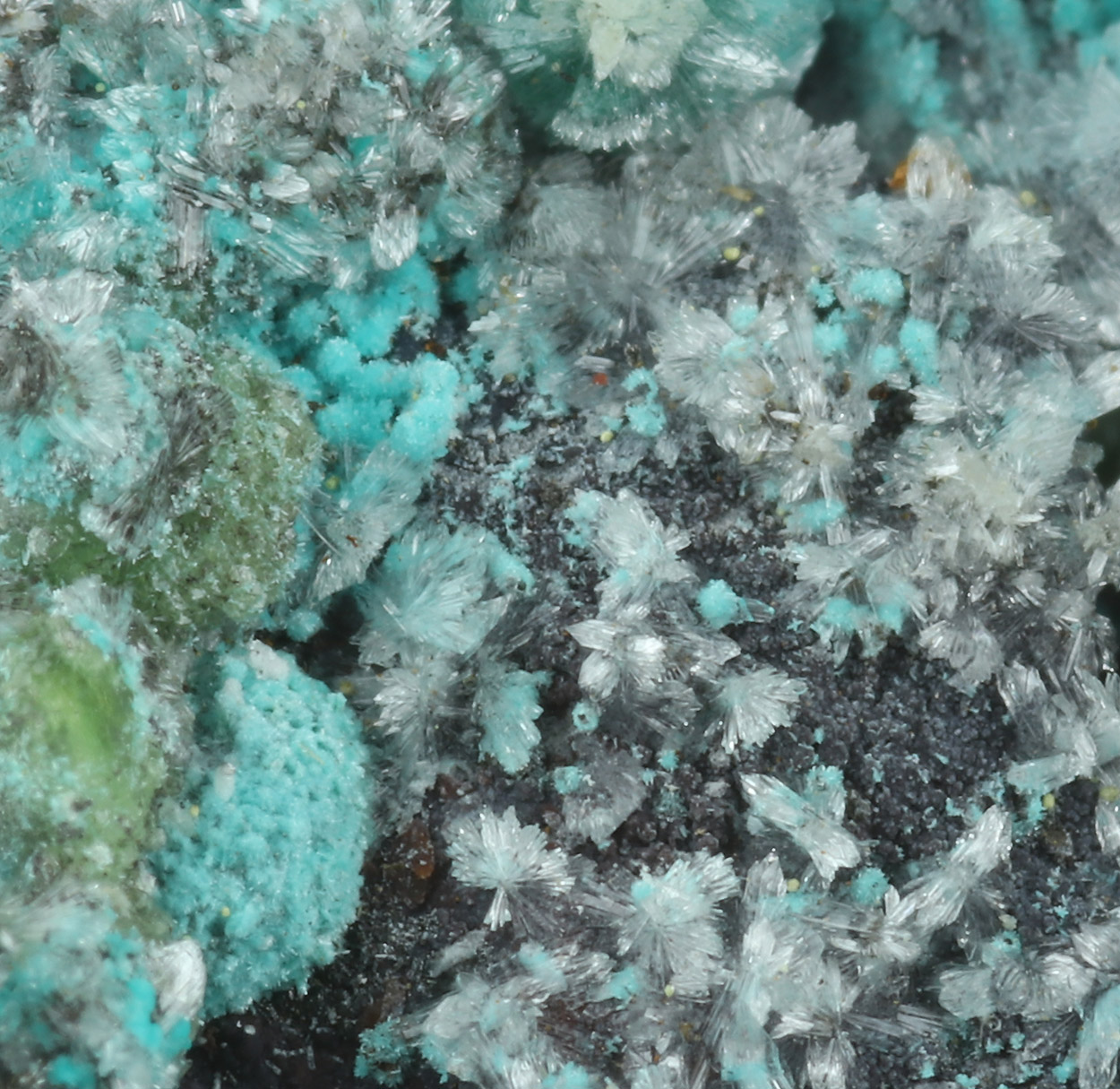 Smithsonite Aurichalcite Hemimorphite Malachite Azurite & Rosasite