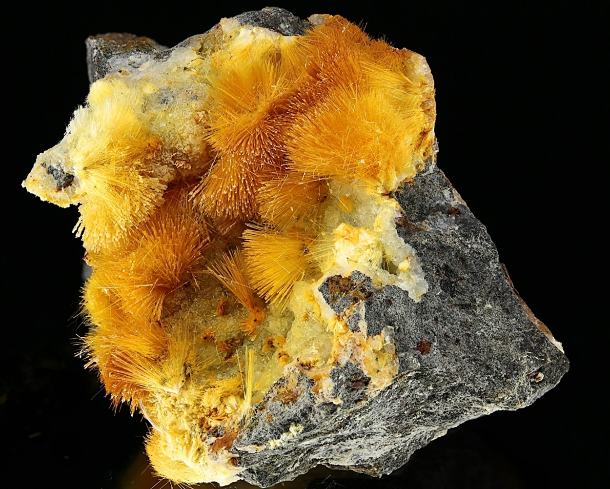 Natrolite Mesolite Epitaxial Thomsonite-Ca & Chabazite-Na