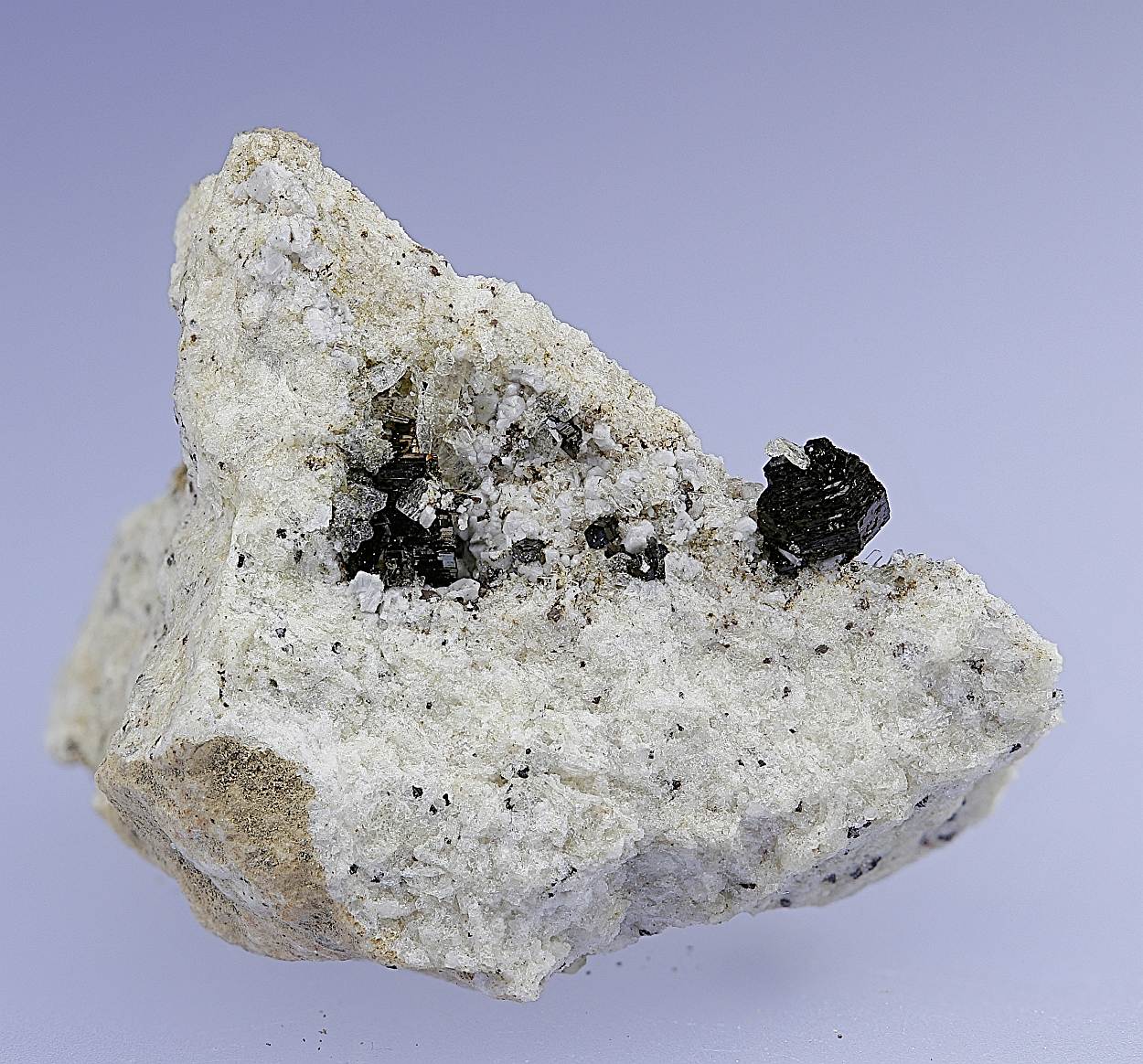 Biotite