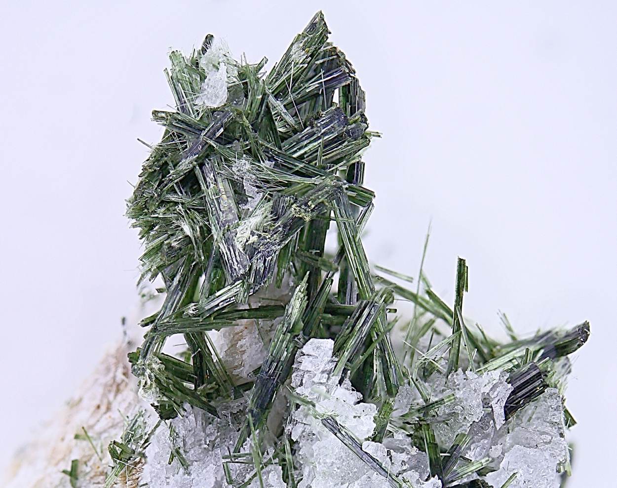 Actinolite