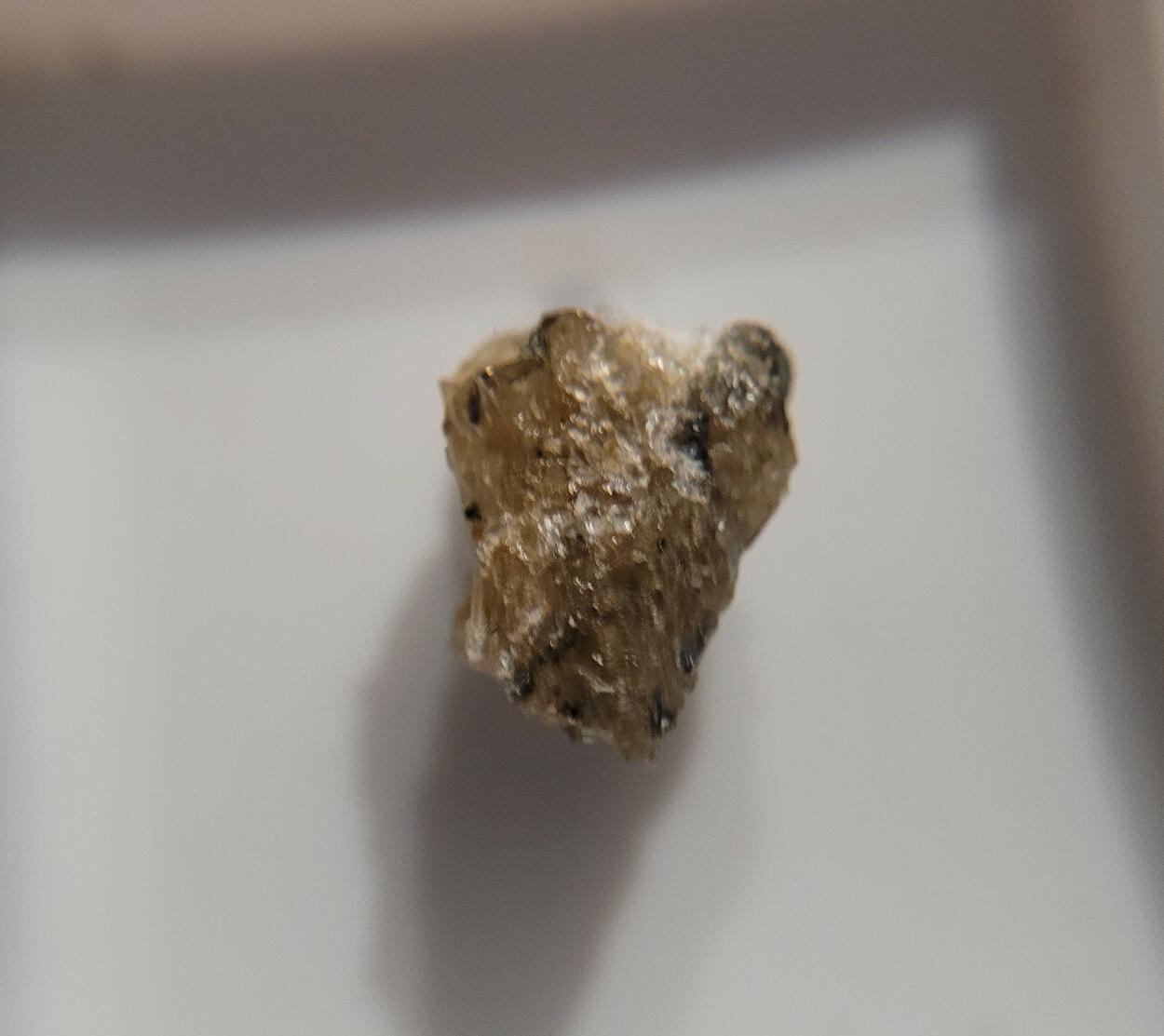 Laitakarite