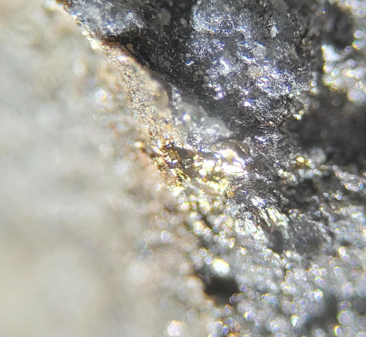 Tellurobismuthite