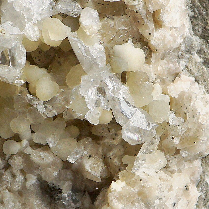 Whewellite & Anhydrite On Calcite