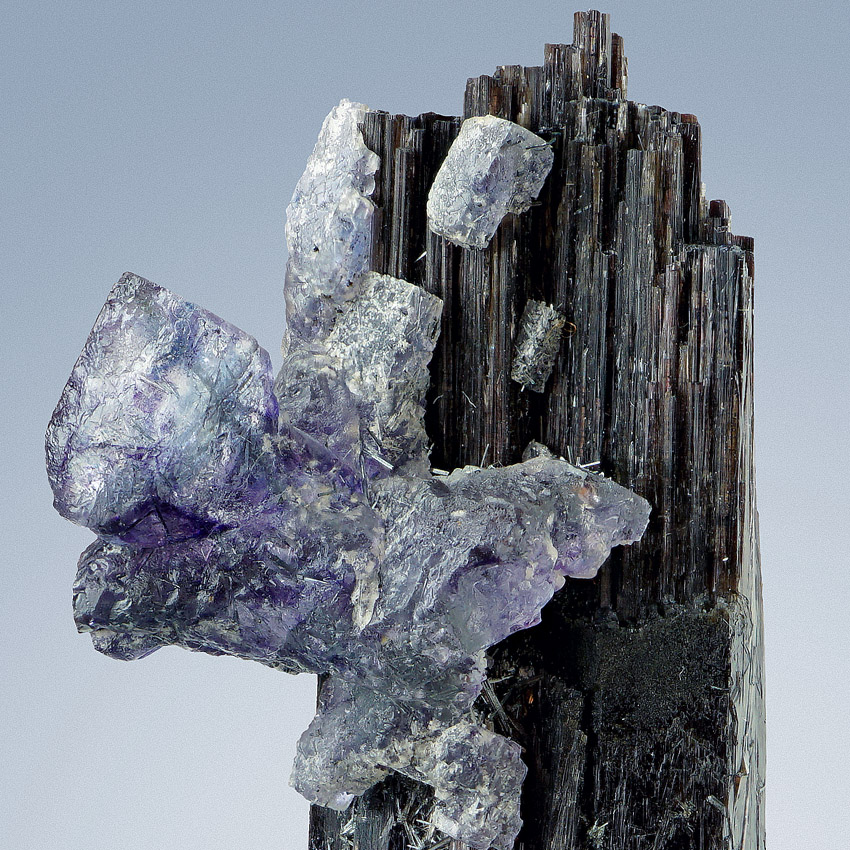 Fluorite On Tourmaline Var Schorl