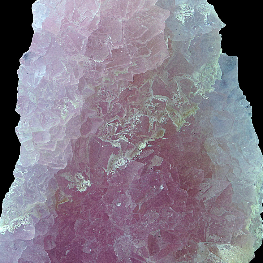 Rose Quartz Psm