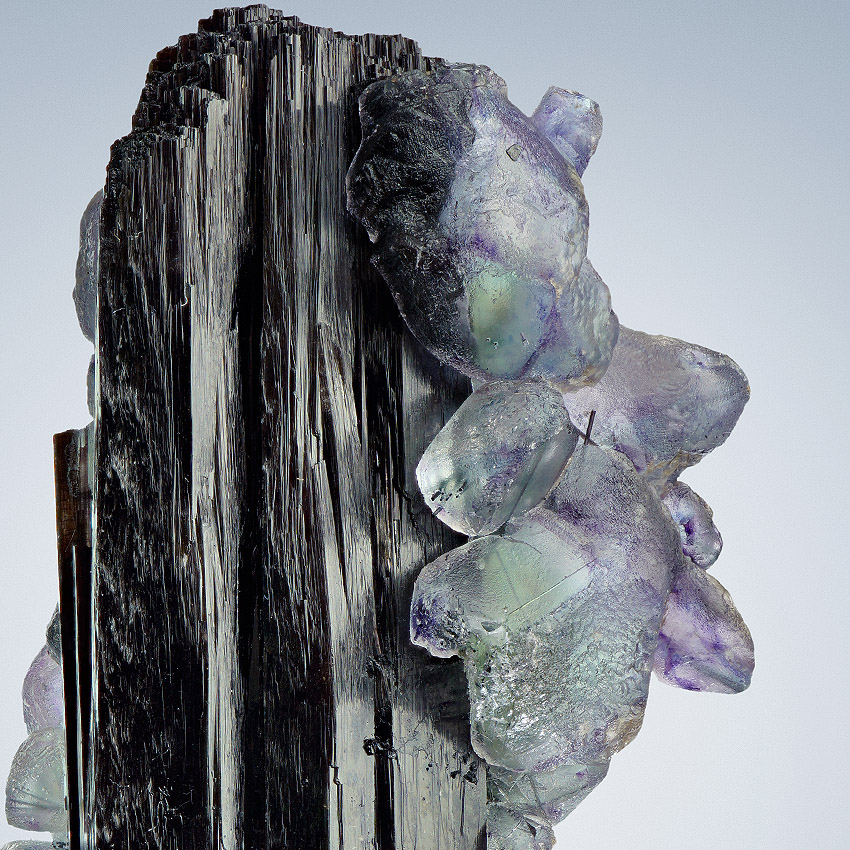 Fluorite On Tourmaline Var Schorl