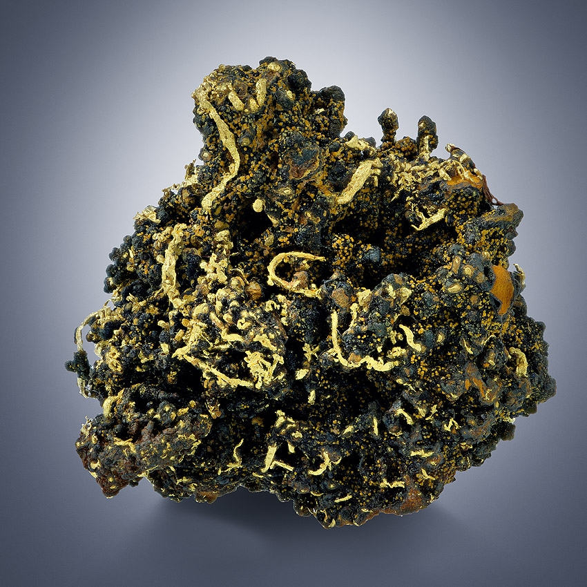 Native Gold On Limonite With Cacoxenite