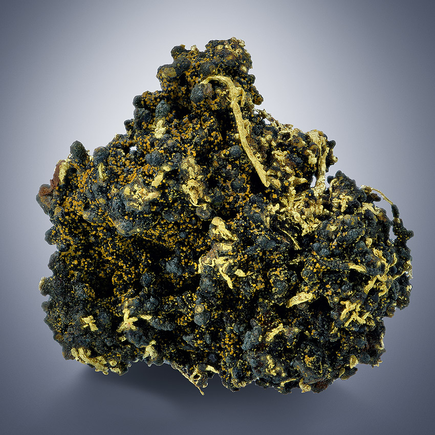 Native Gold On Limonite With Cacoxenite