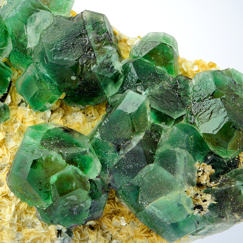 Fluorite On Muscovite