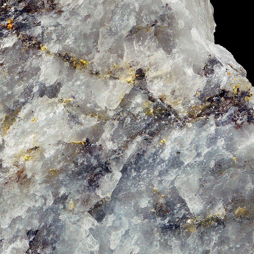 Native Gold In Quartz