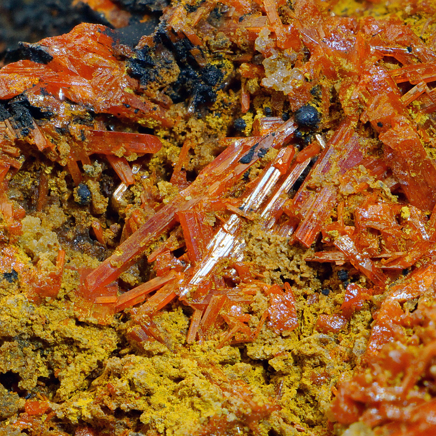 Asbolane On Crocoite & Pyromorphite