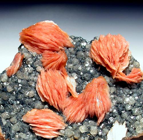 Baryte On Cerussite