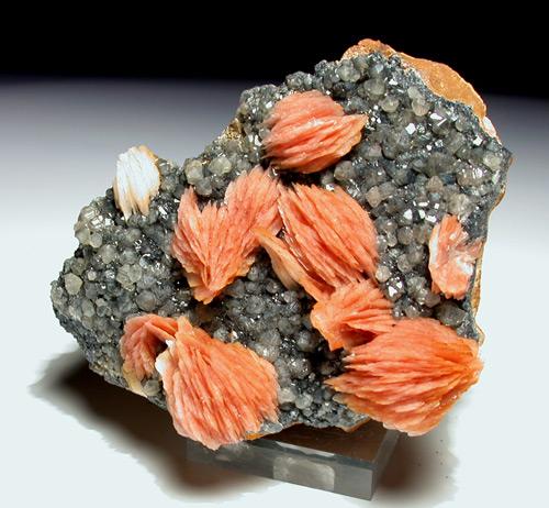 Baryte On Cerussite