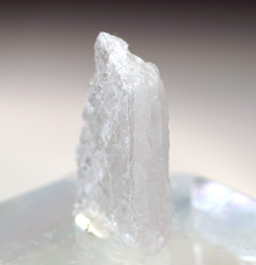 Kaliborite