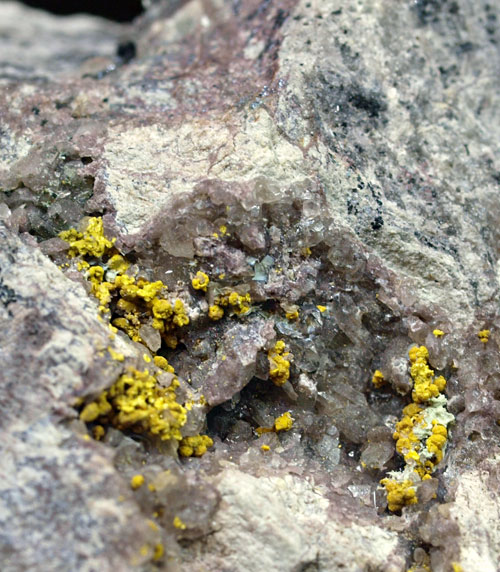 Carnotite