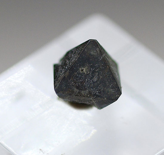 Hauerite