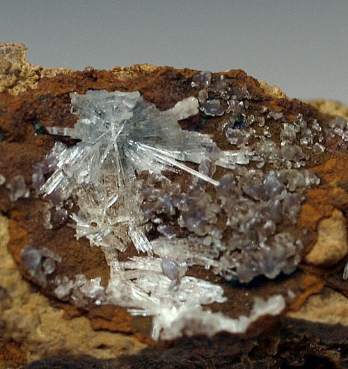 Collinsite