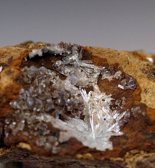 Collinsite