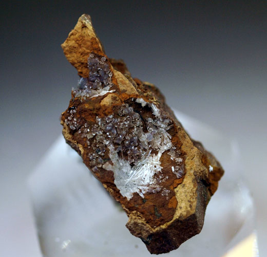 Collinsite