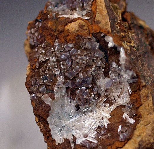 Collinsite