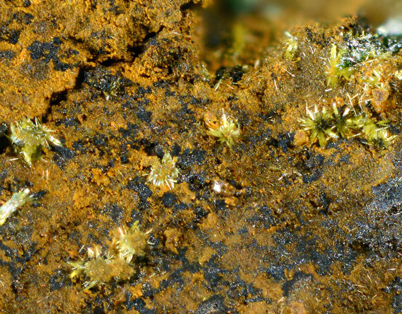 Khorixasite