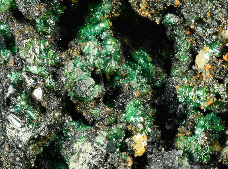 Lammerite