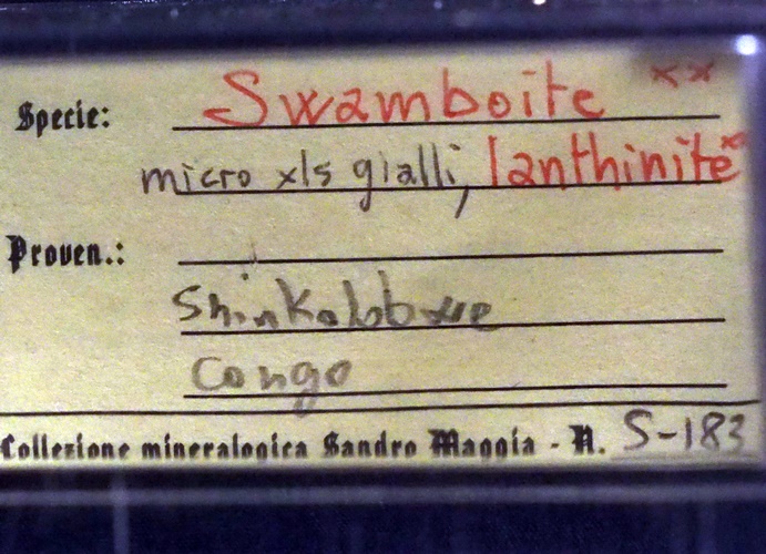 Swamboite & Ianthinite