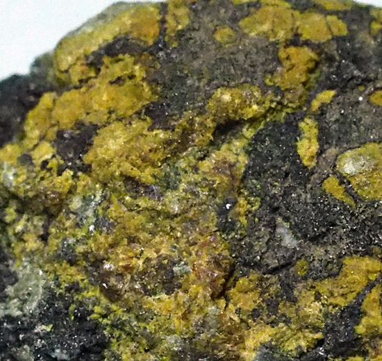 Tsumcorite