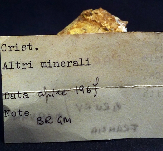 Parsonsite