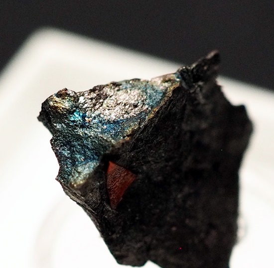 Germanite & Renierite