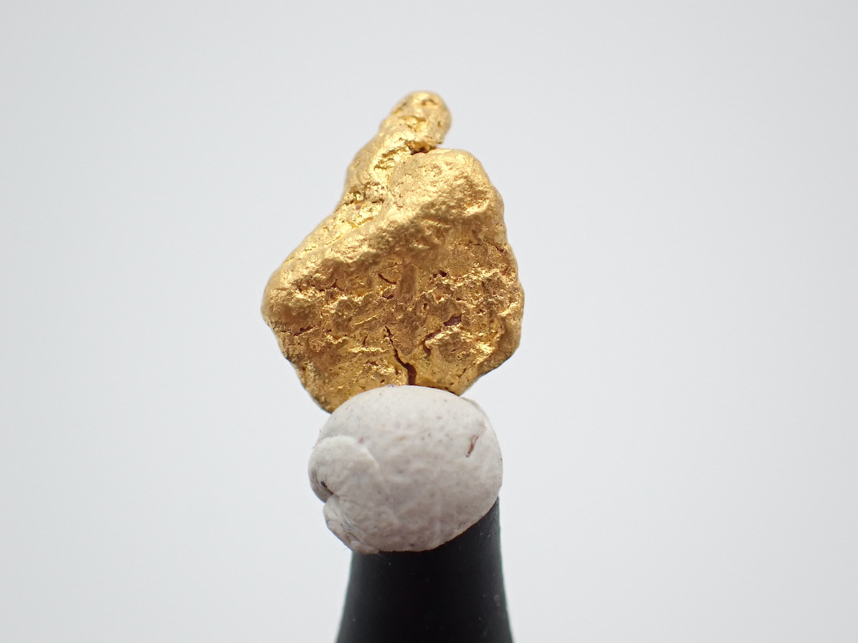 Gold Nugget