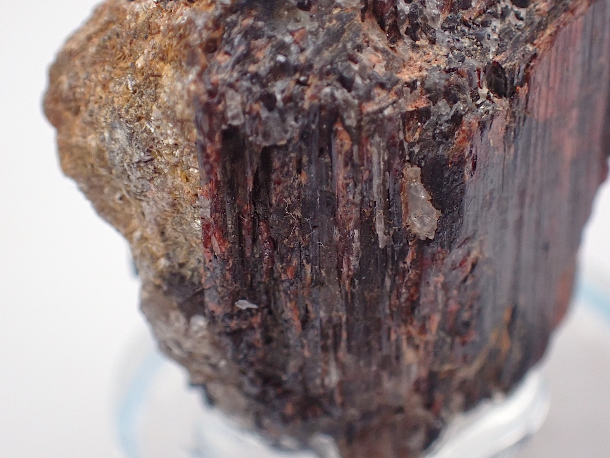 Tantalite-(Mn)