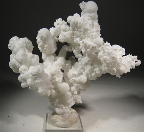 Aragonite