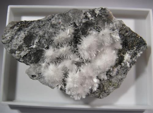 Picropharmacolite