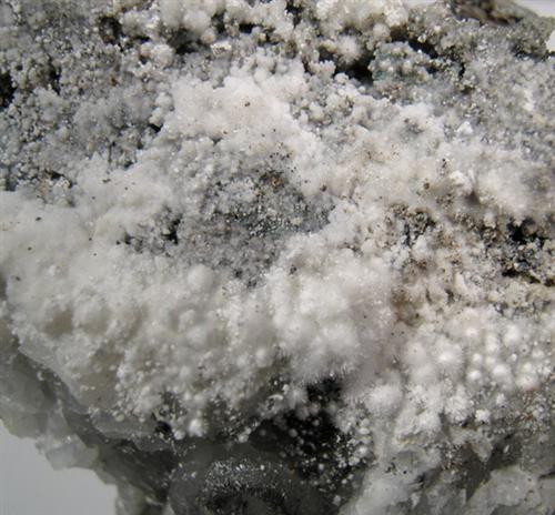 Picropharmacolite