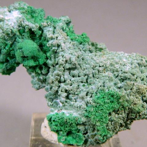 Conichalcite & Olivenite