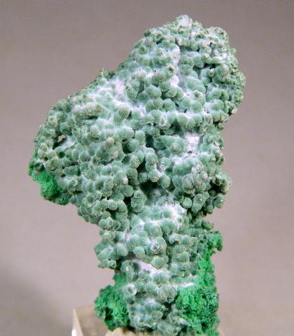 Conichalcite & Olivenite