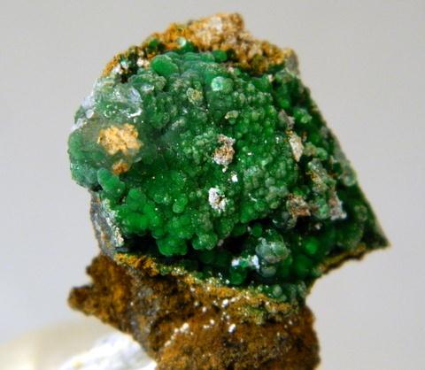 Conichalcite