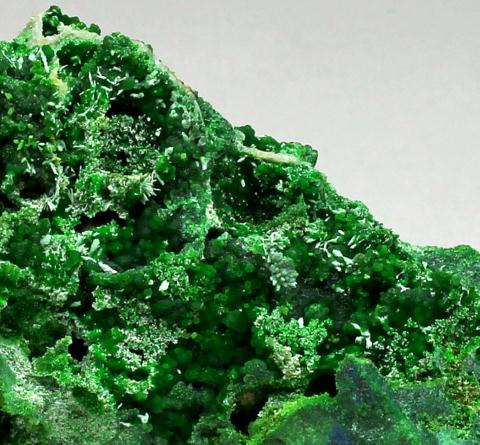 Conichalcite & Olivenite