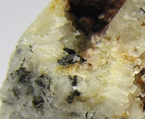 Ferberite & Scheelite