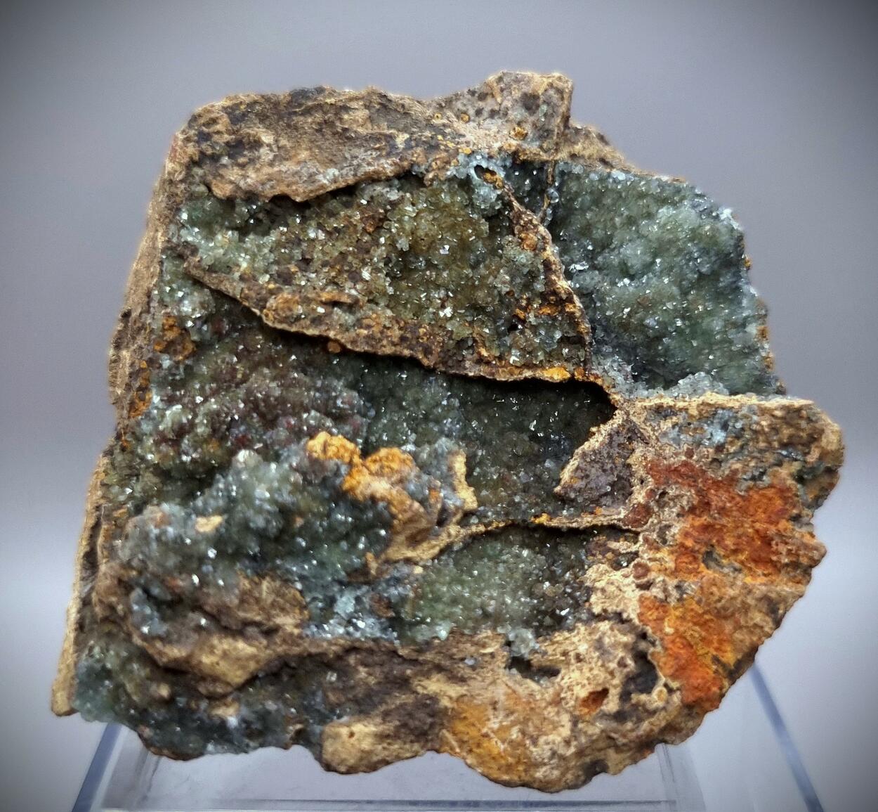 Manganoan Adamite & Adamite