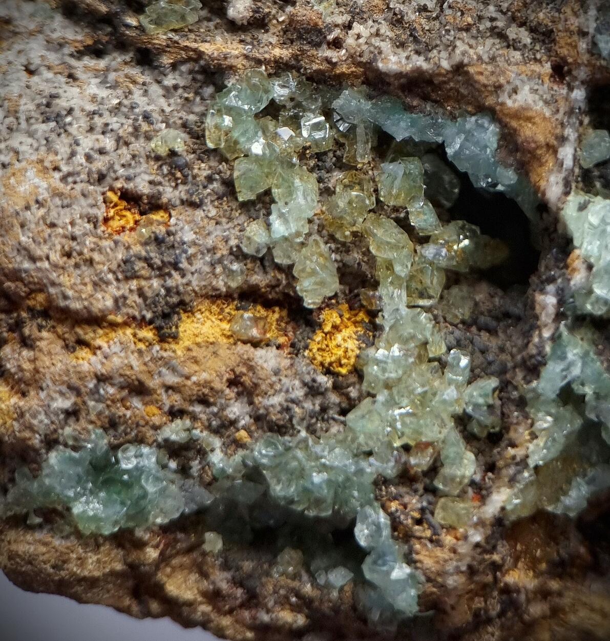 Manganoan Adamite & Adamite