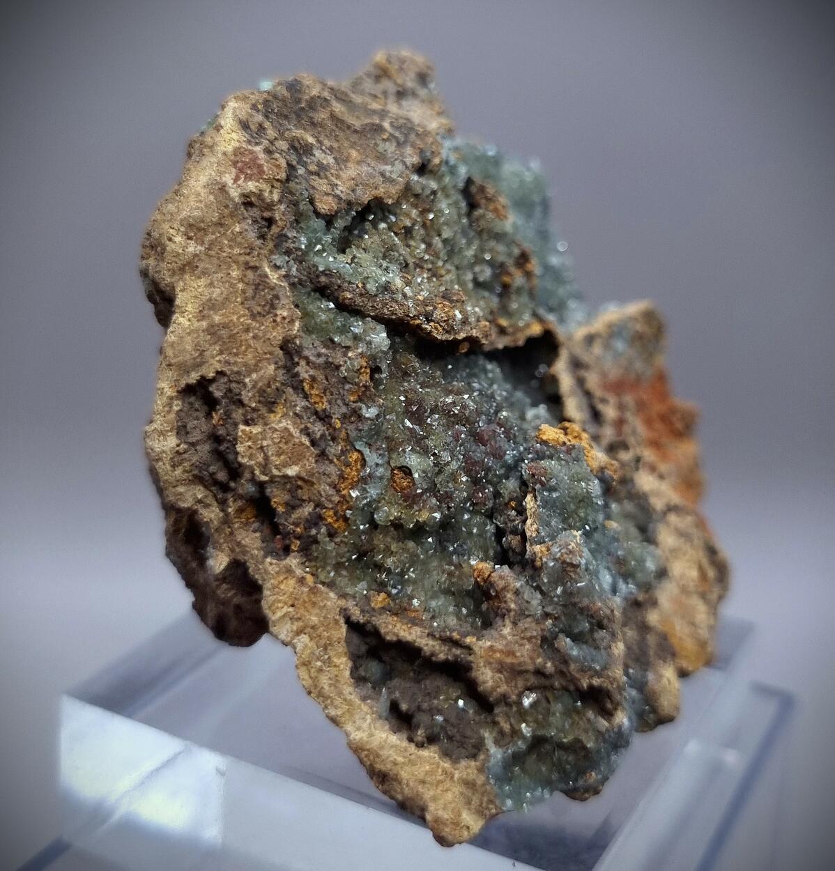 Manganoan Adamite & Adamite