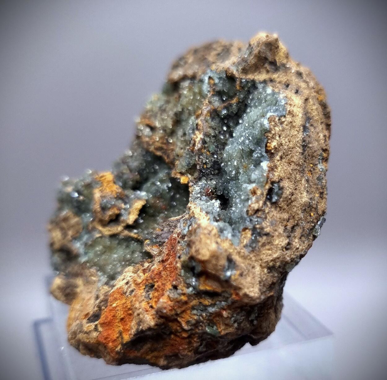 Manganoan Adamite & Adamite