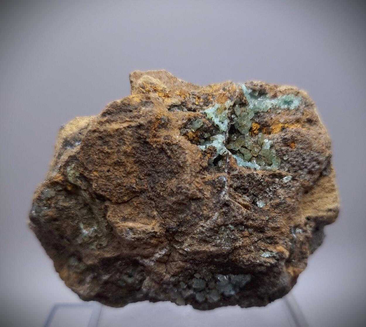 Manganoan Adamite & Adamite